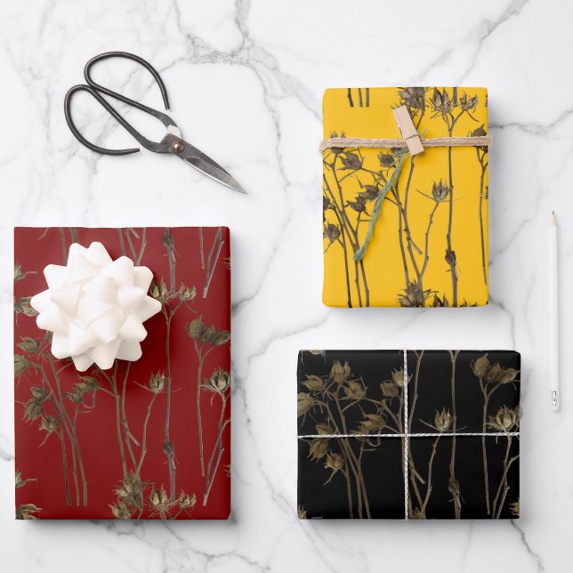 Seed Pods on a Wrapping Paper Set  (Front)