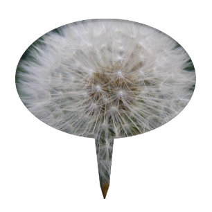 Seeding Dandelion Flower Cake Pick