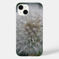 Seeding Dandelion Flower