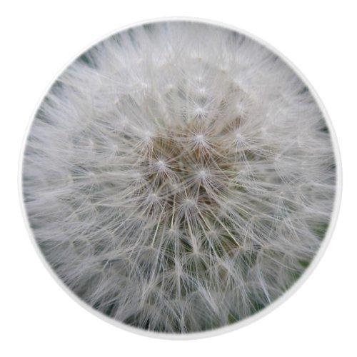 Seeding Dandelion Flower Ceramic Knob