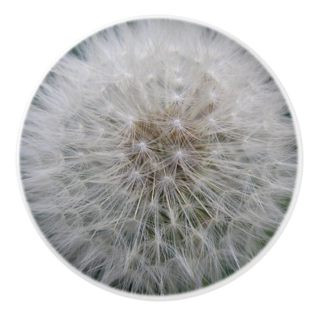 Seeding Dandelion Flower Ceramic Knob (Front)