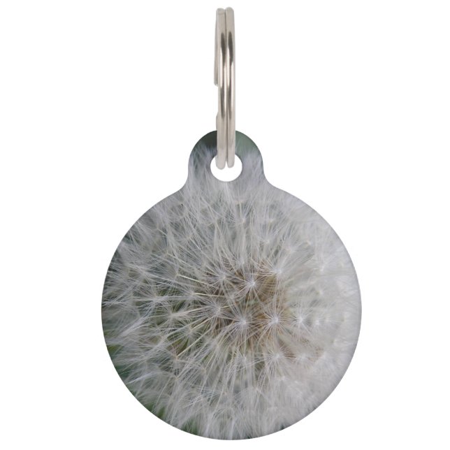 Seeding Dandelion Flower Custom Pet Tag (Front)