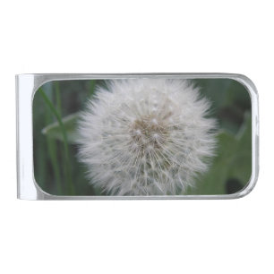Seeding Dandelion Flower Money Clip