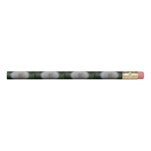 Seeding Dandelion Flower Pencil