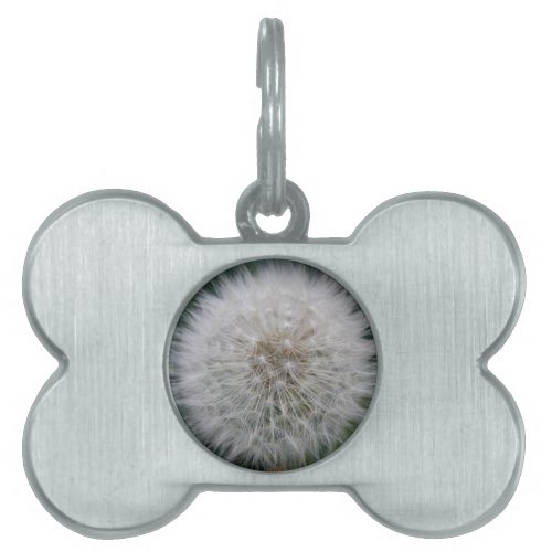 Seeding Dandelion Flower Pet Tag