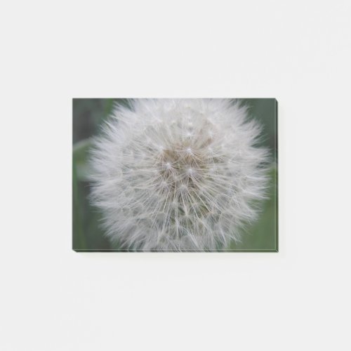 Seeding Dandelion Flower Post it notes Pad