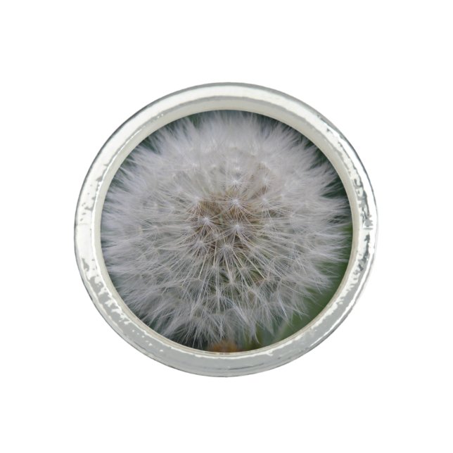 Seeding Dandelion Flower Ring (Front)
