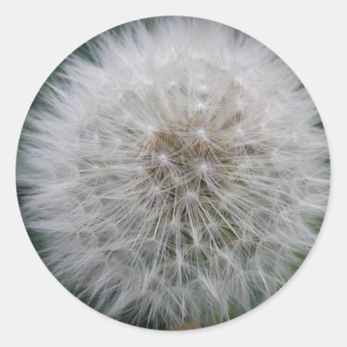 Seeding Dandelion Flower Stickers