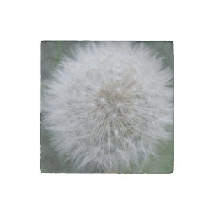 Seeding Dandelion Flower Stone Magnet