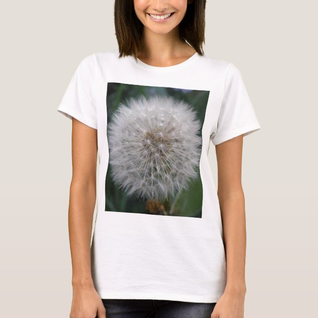 Seeding Dandelion Flower T Shirt (Front)