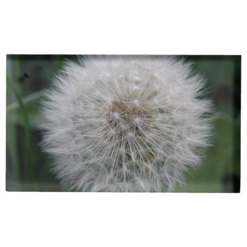 Seeding Dandelion Flower Table Card Holder