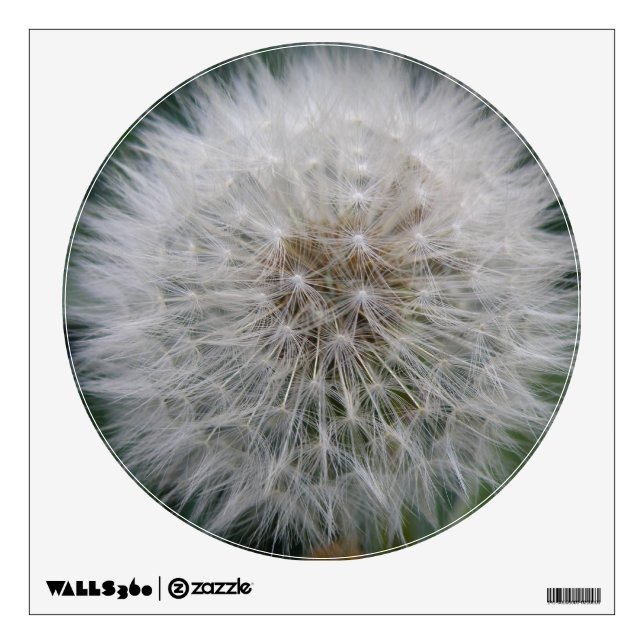 Seeding Dandelion Flower Wall Decal (Front)