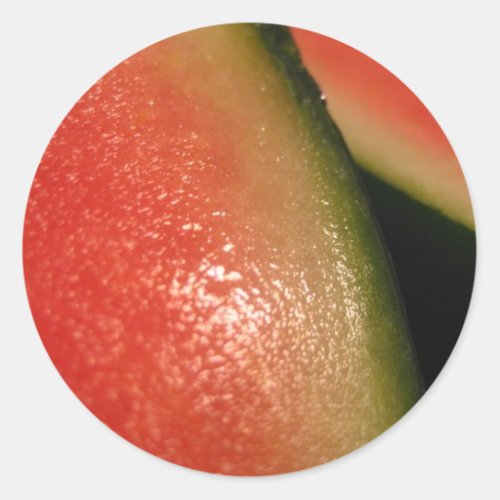 seedless watermelon classic round sticker