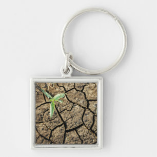 Seedling In Cracked Earth Keychain