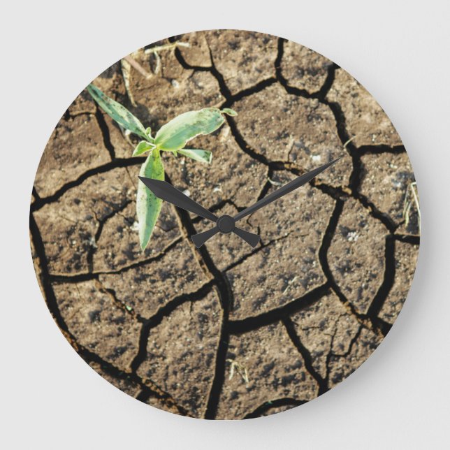 Seedling In Cracked Earth Large Clock (Front)