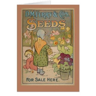 Seeds Cards