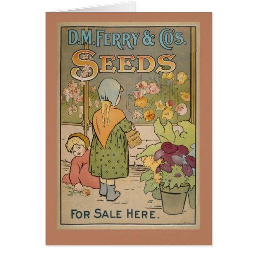 Seeds Cards (Front)
