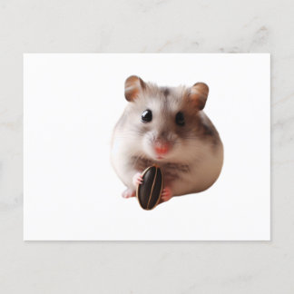Seeds & Hamsters Postcard