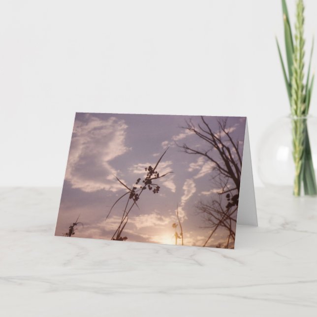 Seeds in Early Evening Card (Front)