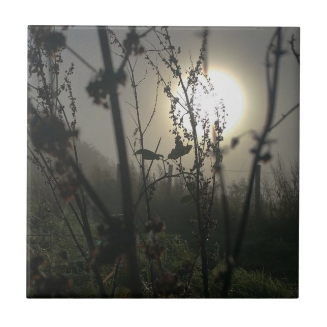 Seeing big in small photo print ceramic tile (Front)