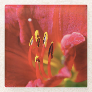 Seeing Red Glass Coaster