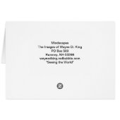 "Seeing the World" Cards (Back Horizontal)