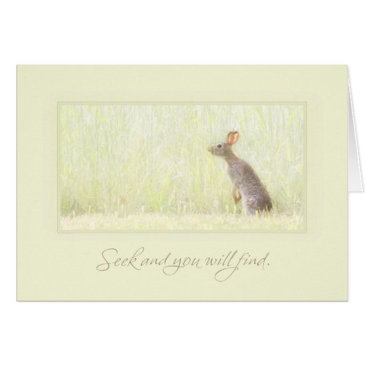Seek and Find Cards (Front Horizontal)