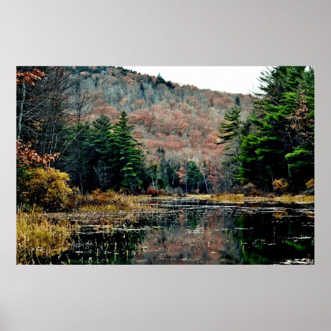 Seek & Find Poster (Front)