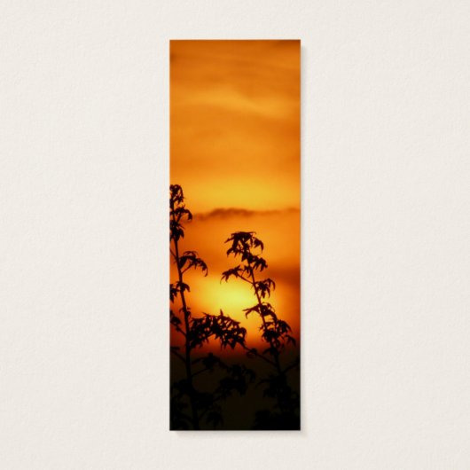 Seek GOD and find HIM Jerimiah 29:13 (Back)