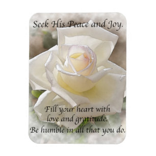 Seek His Peace: White Rose Magnet