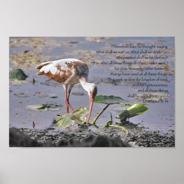 Seek ye first the kingdom of God Scripture Poster (Front)