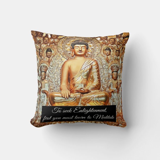Seeking Enlightenment Throw Pillow (Front)
