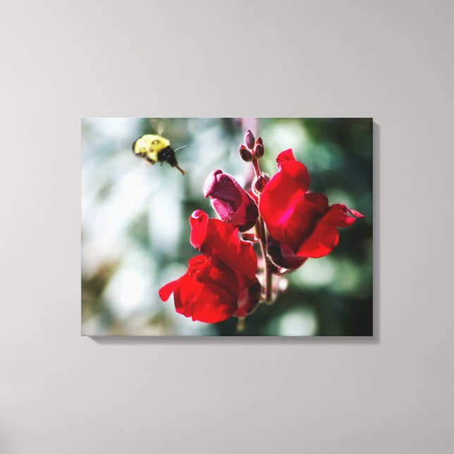 Seeking Sweet Nectar Canvas Print (Front)