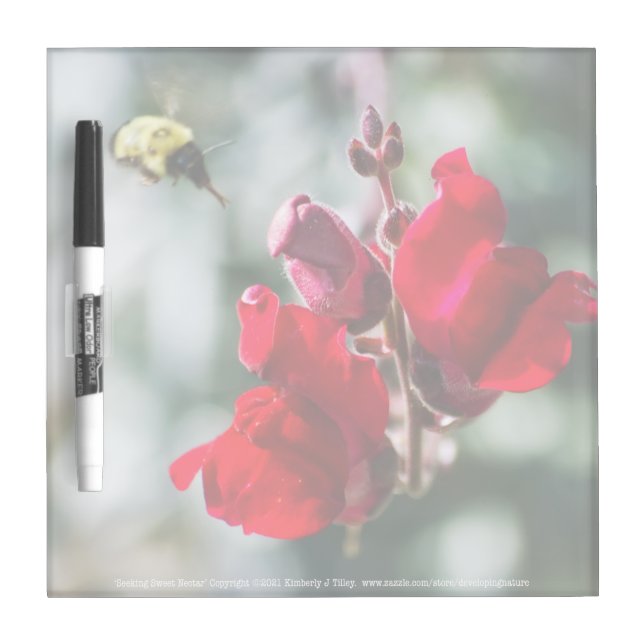 Seeking Sweet Nectar Dry Erase Board (Front)