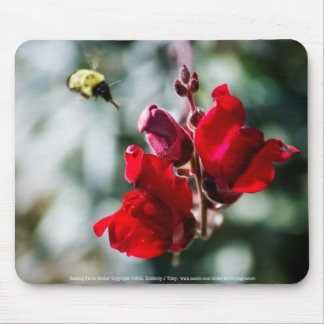 Seeking Sweet Nectar Mouse Pad