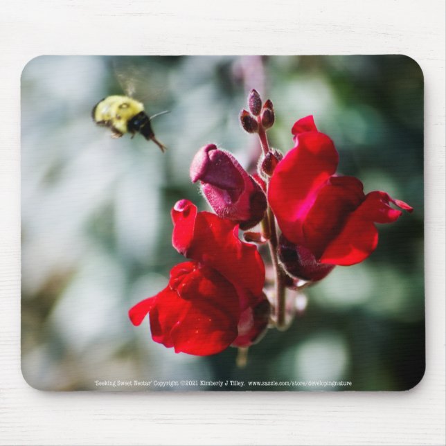 Seeking Sweet Nectar Mouse Pad (Front)