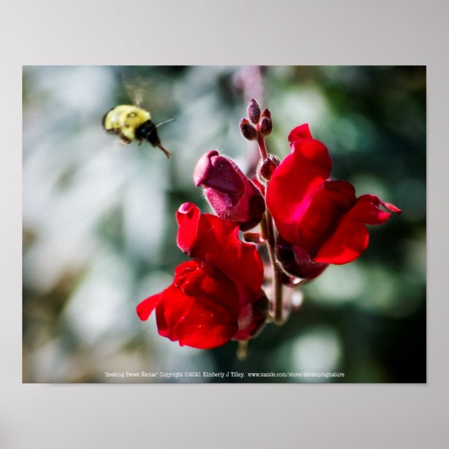 Seeking Sweet Nectar Poster (Front)