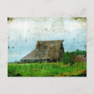 Seen Better Days Postcard