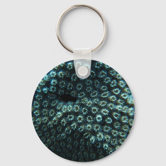 Seepocken Keychain (Front)