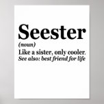 Seester Noun Definition Best Sister Funny Gift Poster<br><div class="desc">sister, seester, definition, family, bigsis, gift, birthday, funny, sarcastic, gift, </div>