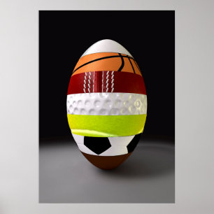 Segmented Sports Ball Poster