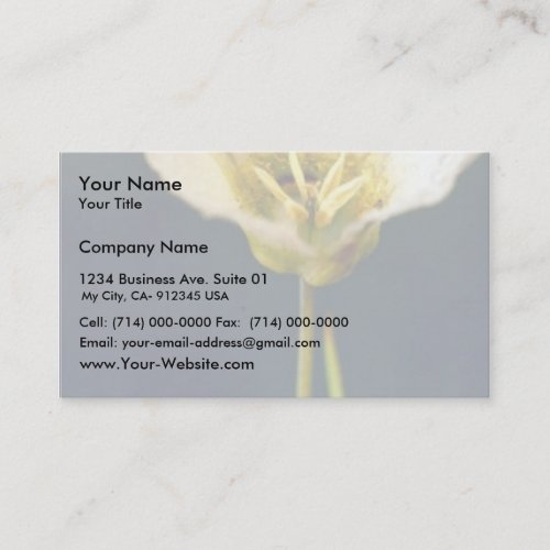 Sego Lily Business Card