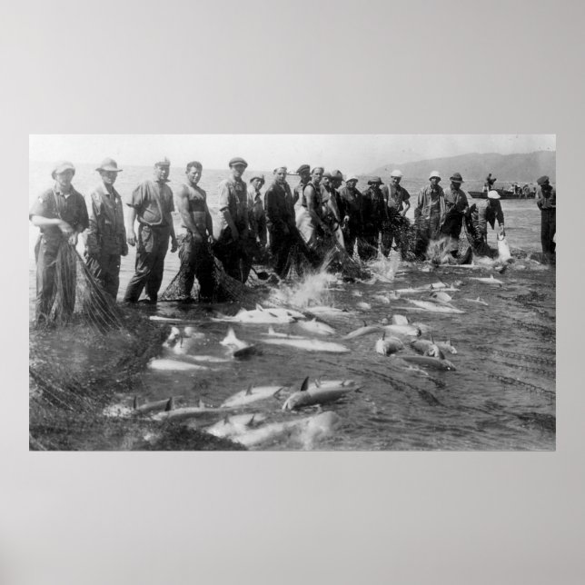 Seining Salmon in Astoria, OR Photograph Poster (Front)