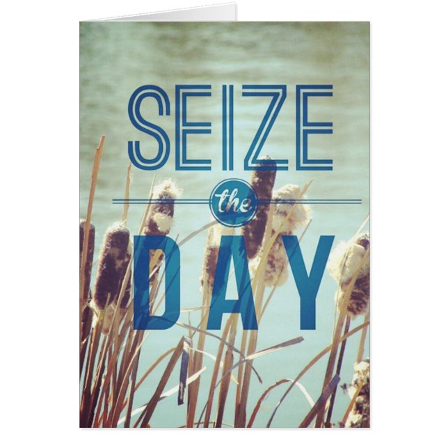 Seize the Day Cattails, Pond Plants Cards (Front)