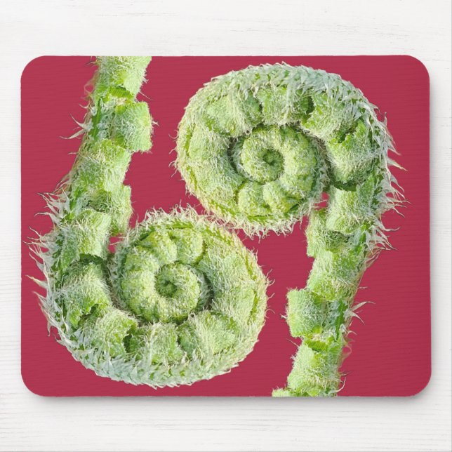 Seize the day mouse pad (Front)