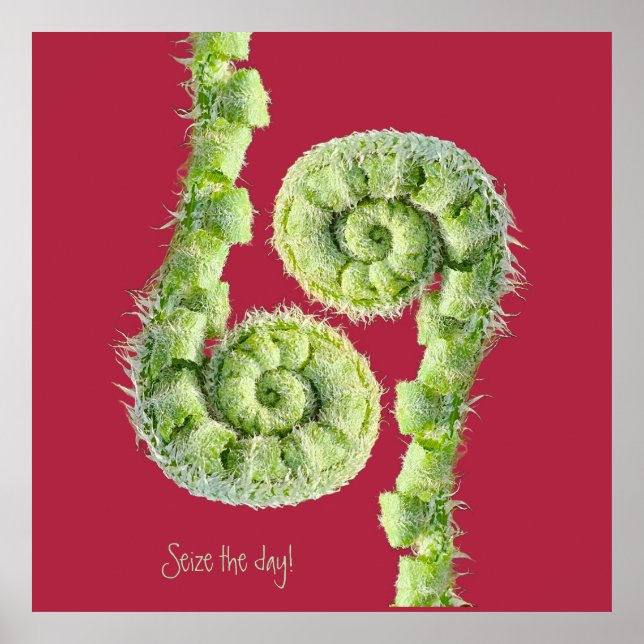 Seize the day poster (Front)