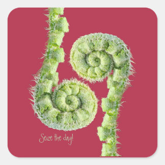 Seize the day square sticker