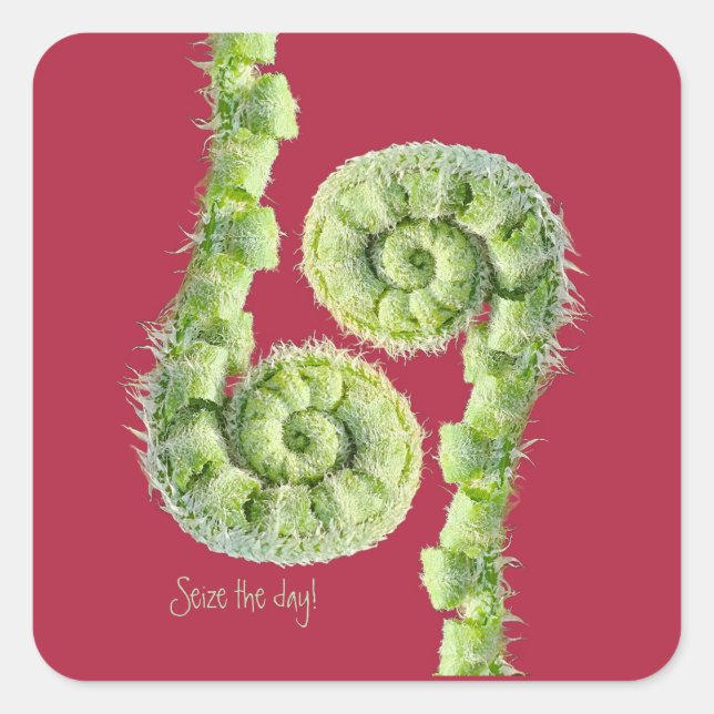 Seize the day square sticker (Front)