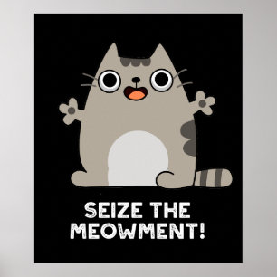 Seize The Meow-ment Positive Cat Pun Dark BG Poster