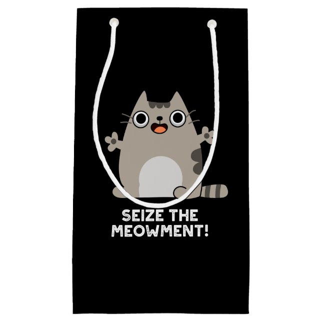Seize The Meow-ment Positive Cat Pun Dark BG Small Gift Bag (Front)